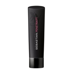 Sebastian Champú Penetraitt 250ml