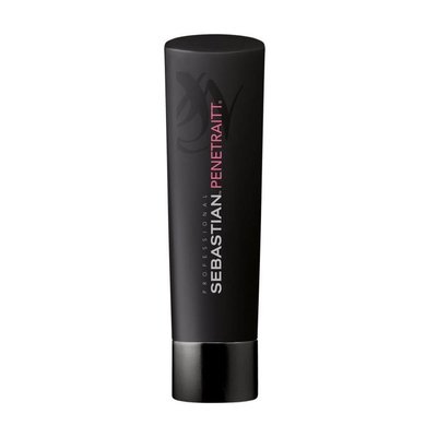 Sebastian Champú Penetraitt 250ml