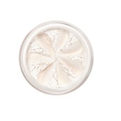 Lily Lolo Loose Eye Shadow Orchid