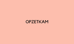 Opzetkam