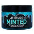 Attitude Haarfarbe Minzpastell 135ml