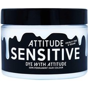 Attitude Teinture Cheveux Sensibles 135ml