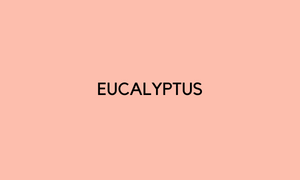 Proraso Eucalyptus