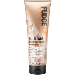 Fudge Shampoing All Blonde Color Lock, 250 ml