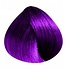 Crazy Color Violet chaud 100 ml