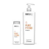 Framesi Morphosis Purifying Shampoo