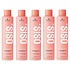 Schwarzkopf Osis Volume Up Booster Spray 5 x 300 ml, FORFAIT VALEUR !