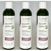 Livayi 3 x 250 ml Value Pack! Garlic Shampoo Classic Anti-Hair Loss