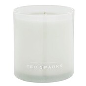 Ted Sparks Fresh Linen Demi, 60 horas de combustión