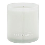 Ted Sparks Fresh Linen Demi, 60 ore di combustione