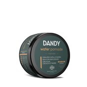 Dandy lisap Dandy Water Pomade 100ml
