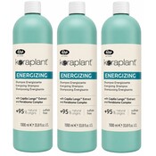 Lisap Shampoo energizzante Keraplant Nature, confezione convenienza da 3 flaconi da 1000 ml!