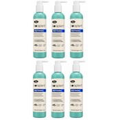 Lisap Keraplant Verfeinerndes Shampoo 6x250 ml VORTEILSPACKUNG!