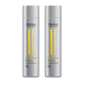 Kadus Visible Repair Shampoo, 2 x 250 ml SPARPAKET!