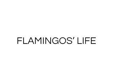 FLAMINGOS' LIFE