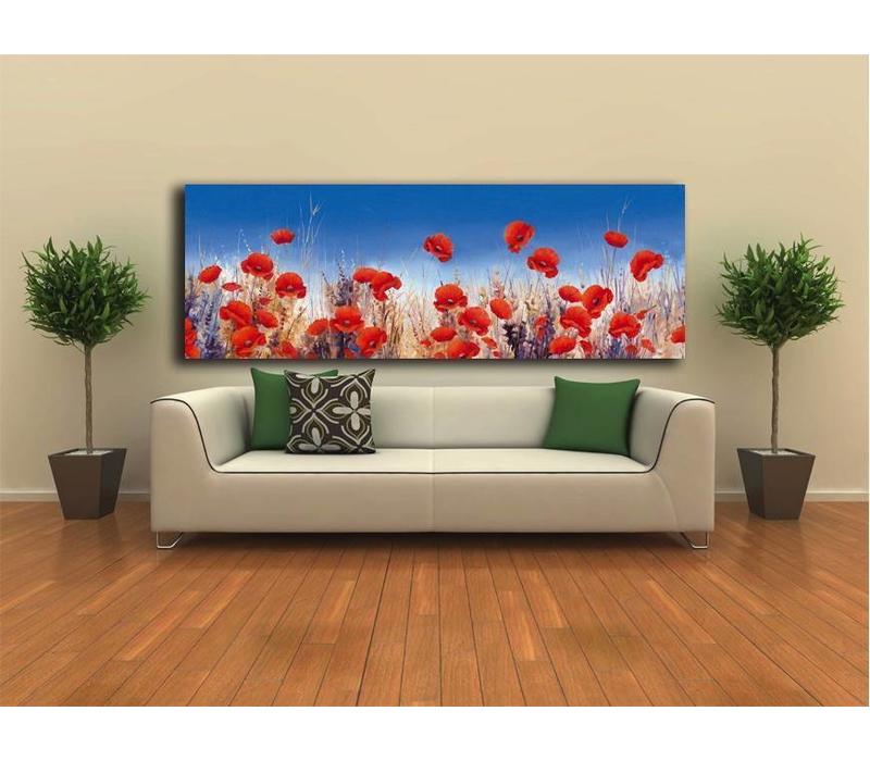 Poppy Landscape