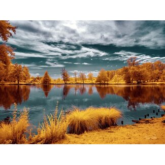 Majolan’s Park Reflections II