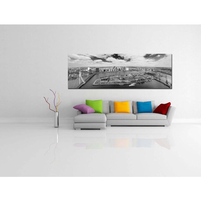 De Rotterdamse bruggen | Rotterdam skyline