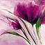 Le jour en rose I