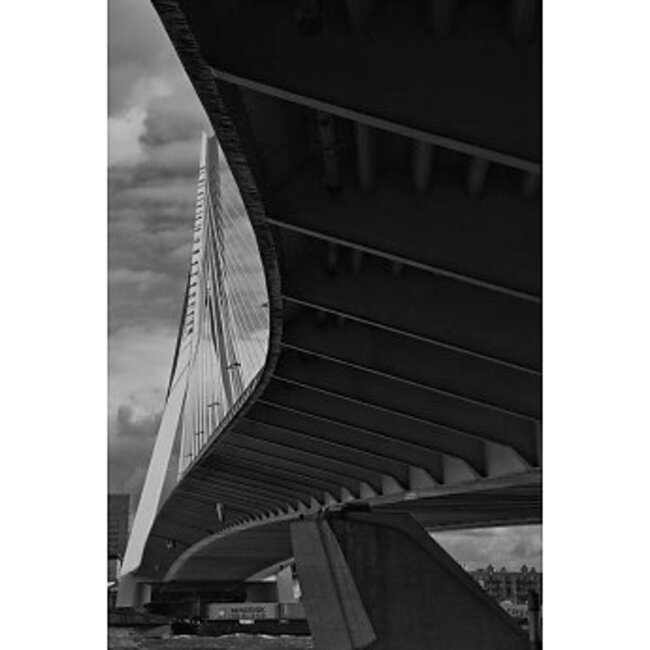 Rotterdam Sander Nagel