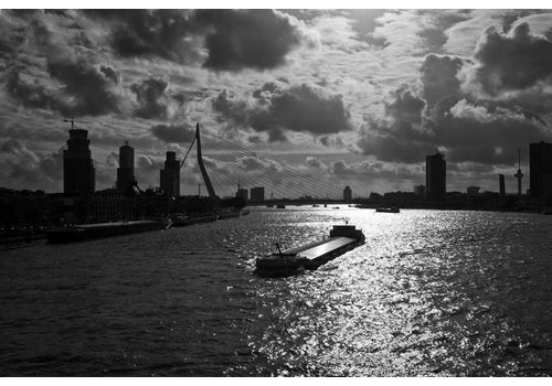 Rotterdam skyline vanaf de maas