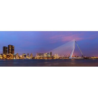De Erasmusbrug bij nacht