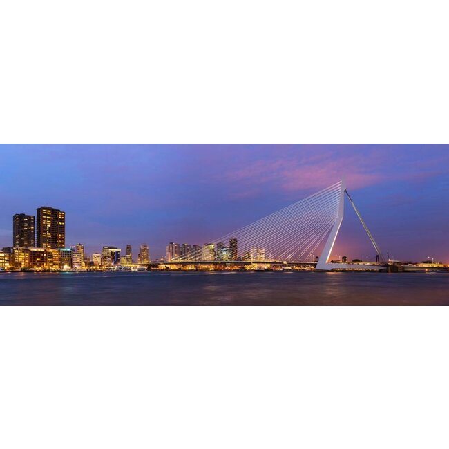 De Erasmusbrug bij nacht