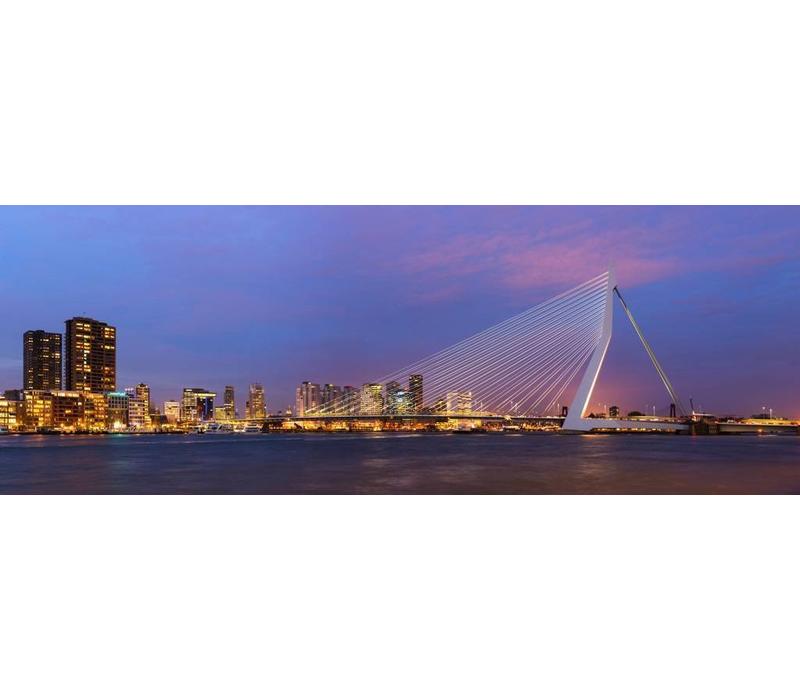 De Erasmusbrug bij nacht