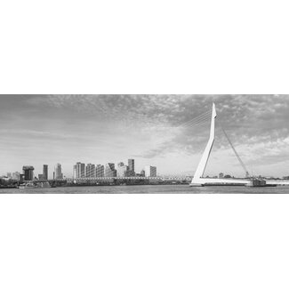 The bridge BlackandWhite