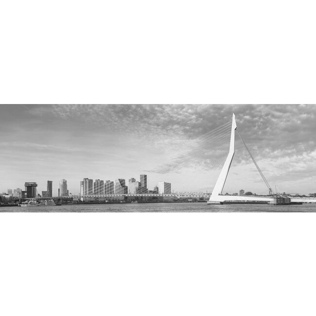 The bridge BlackandWhite