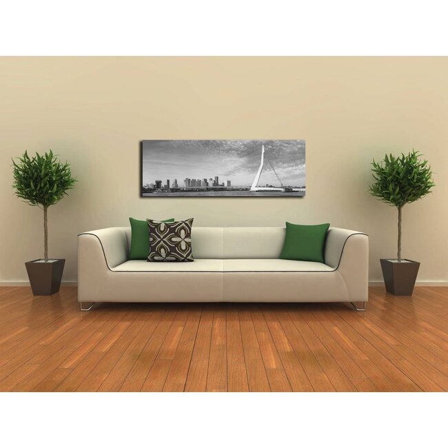 The bridge BlackandWhite