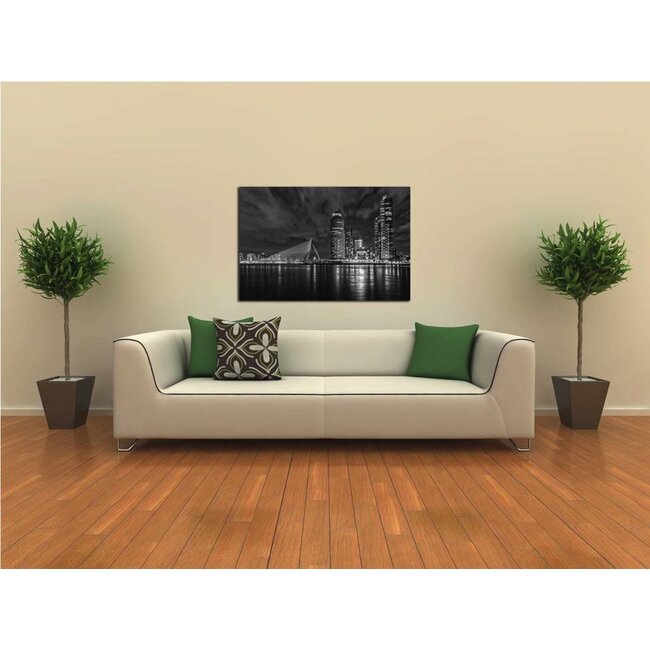 Rotterdam Lights | Rotterdam skyline