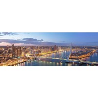 The bridge of Rotterdam | Rotterdam skyline