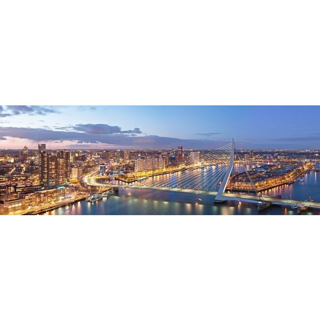 The bridge of Rotterdam | Rotterdam skyline