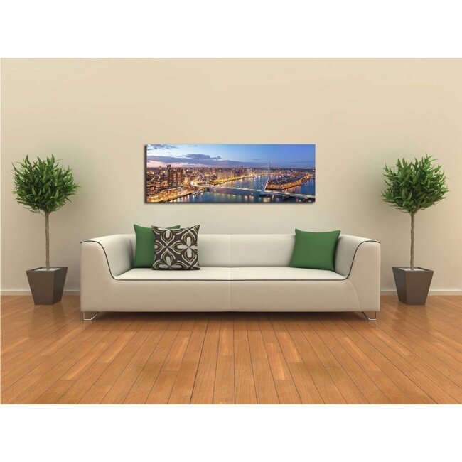 The bridge of Rotterdam | Rotterdam skyline