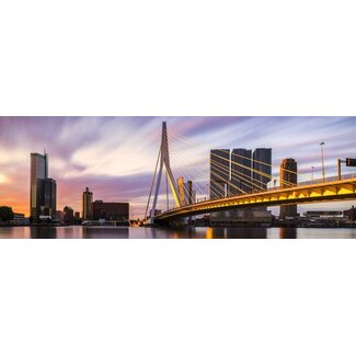 Rotterdam Strokes of Sunlight Panorama