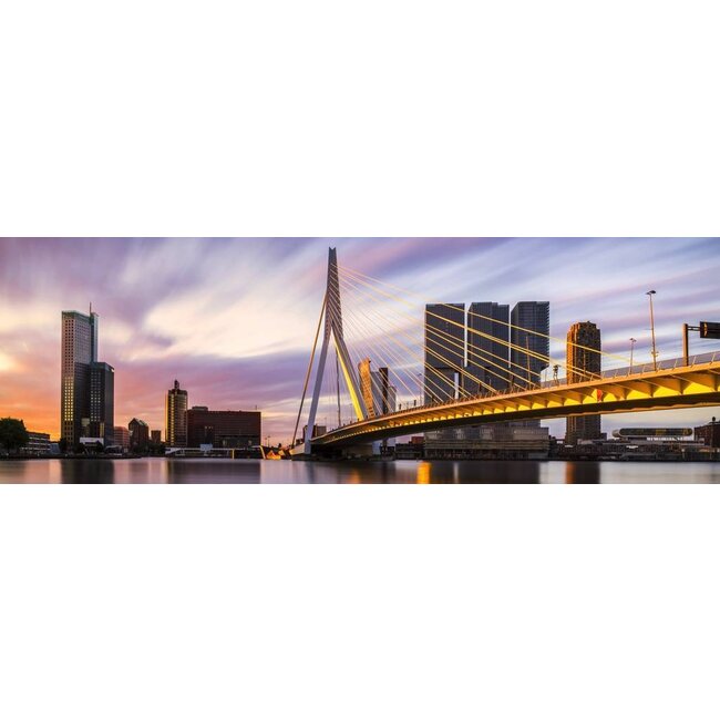 Rotterdam Strokes of Sunlight Panorama