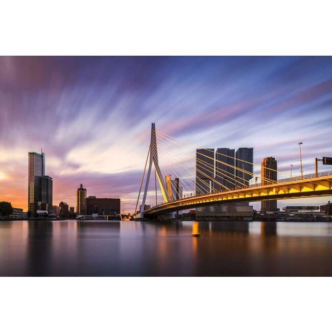 Rotterdam Strokes of Sunlight | Rotterdam skyline