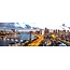 Bridges of Rotterdam