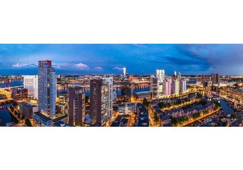 Paul Martens Uitzicht op Rotterdam Zuid