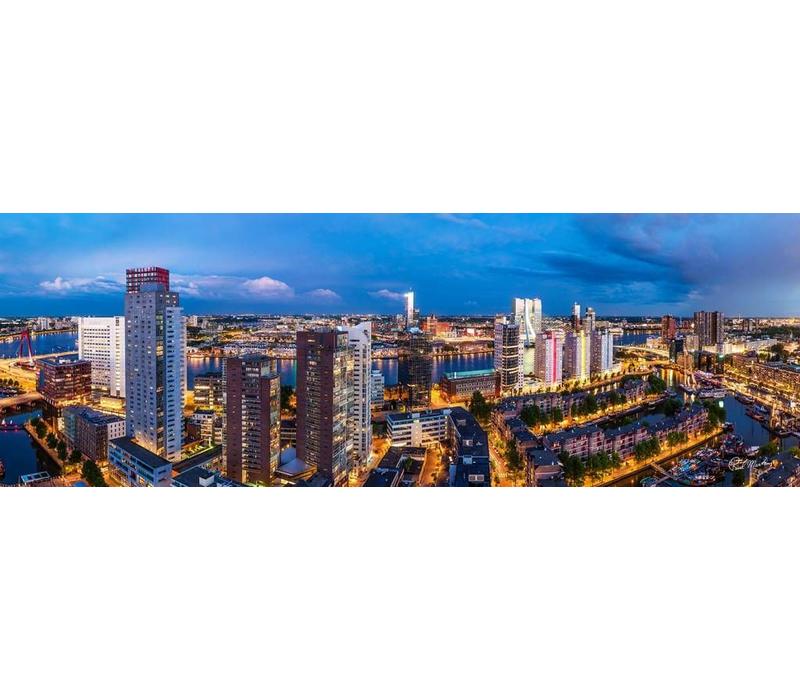Uitzicht op Rotterdam Zuid