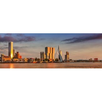 Rotterdamse Maaskade
