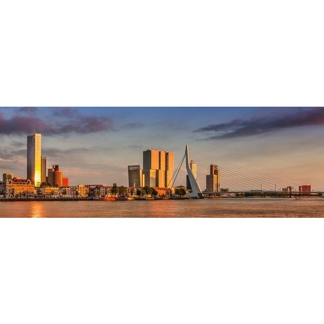 Rotterdamse Maaskade