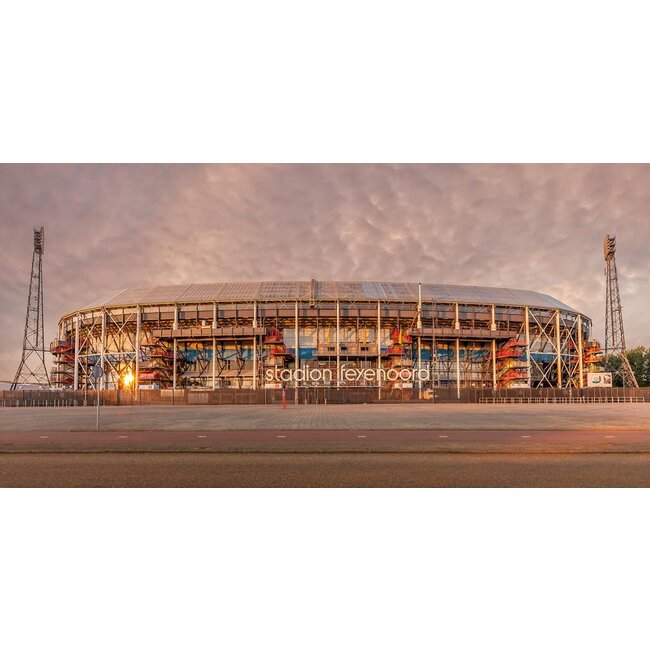 Rotterdam Kuip Gold