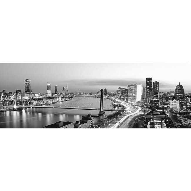 Rotterdam bridges blackandwhite