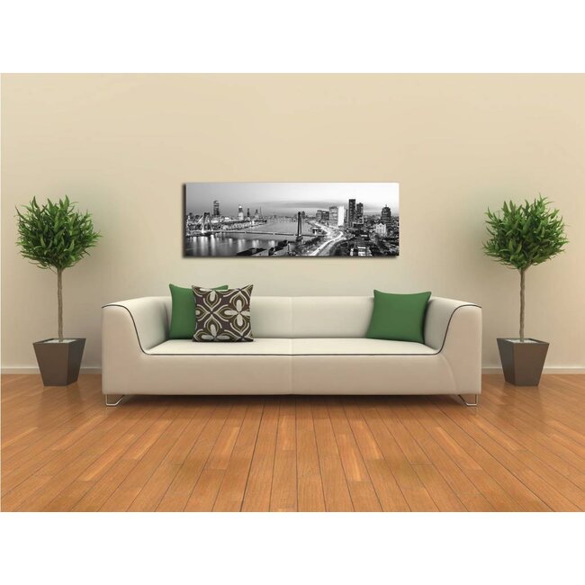 Rotterdam bridges blackandwhite