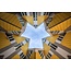 Cubic star