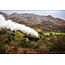The Jacobite Steam train