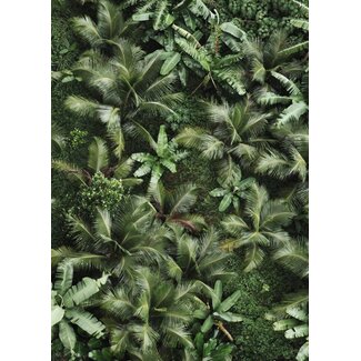 Forest 50x70