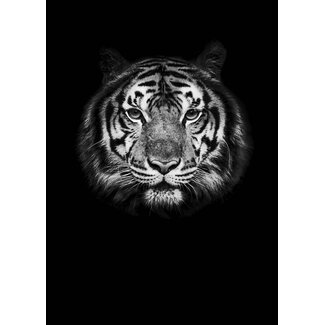 Tijger zwart30x40